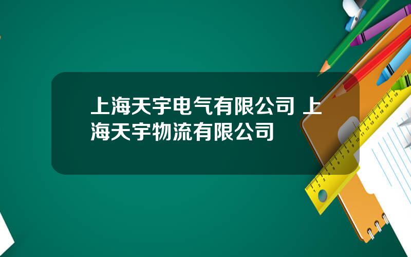 上海天宇电气有限公司 上海天宇物流有限公司